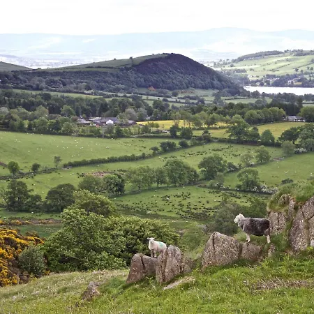 فندق The Hoggest@high House Farm *