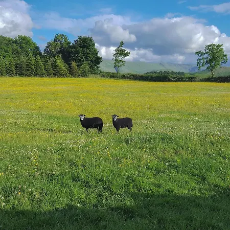 The Hoggest@high House Farm * ووتِرميلوك