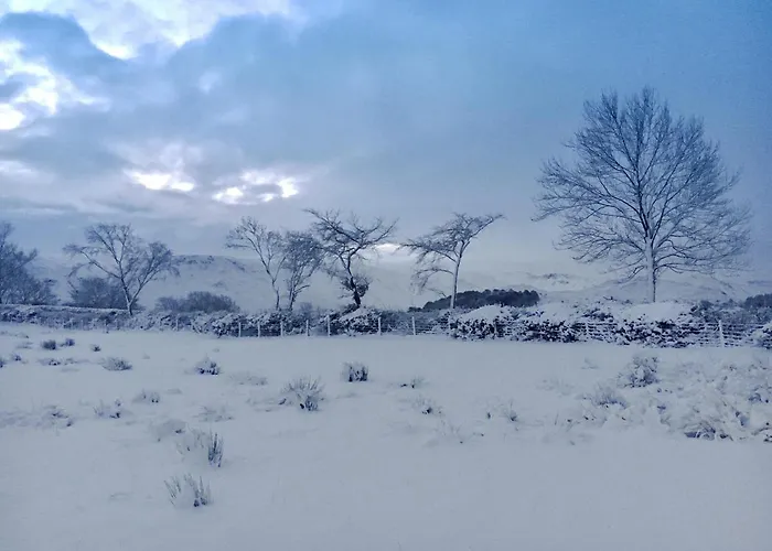 The Hoggest@high House Farm * Watermillock