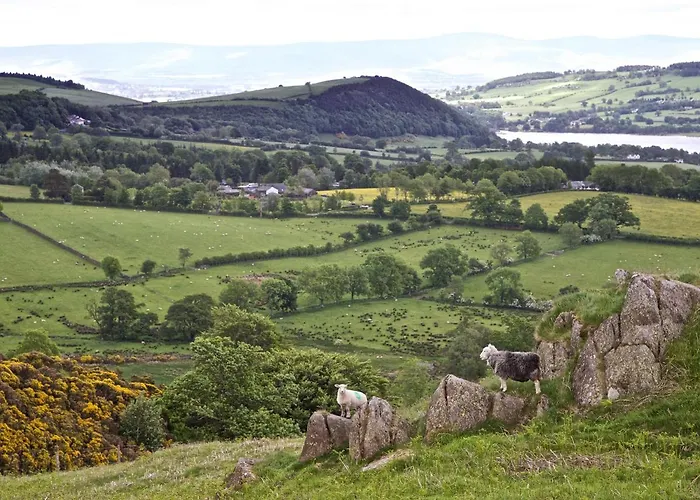 Hotel The Hoggest@high House Farm *