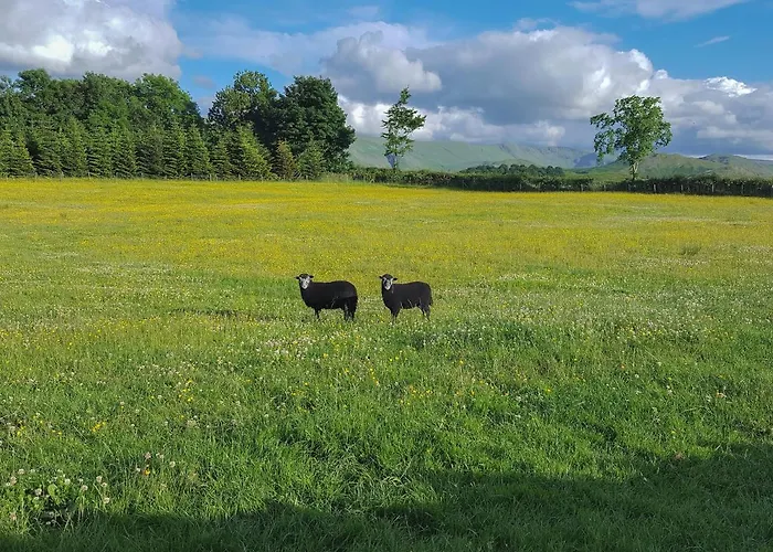 The Hoggest@high House Farm * Watermillock