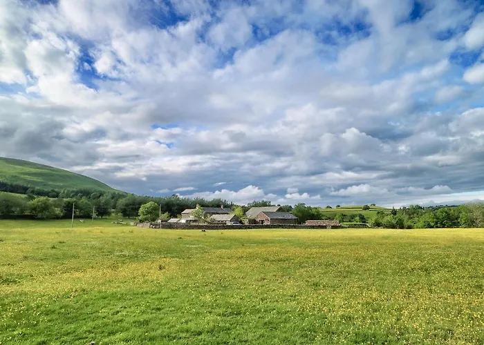 The Hoggest@high House Farm Hotel