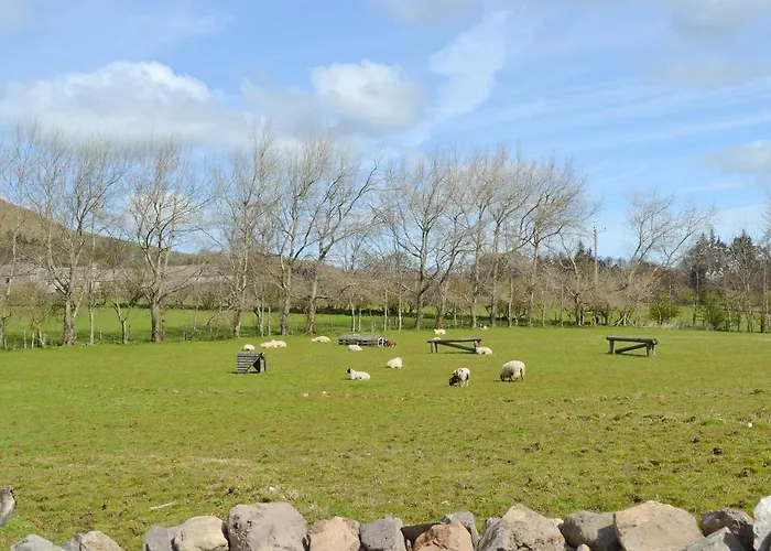 The Hoggest@high House Farm