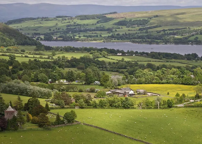 The Hoggest@high House Farm Hotel