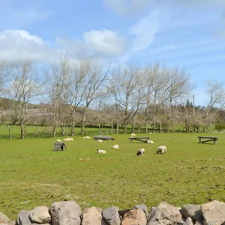 The Hoggest@high House Farm